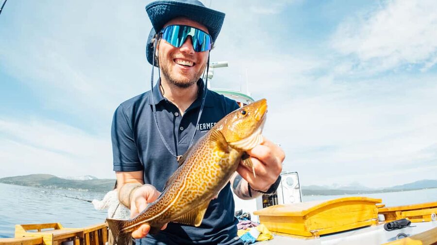 Tromsø: Fjord Fishing Cruise - Who this Tromsø fishing cruise is perfect for