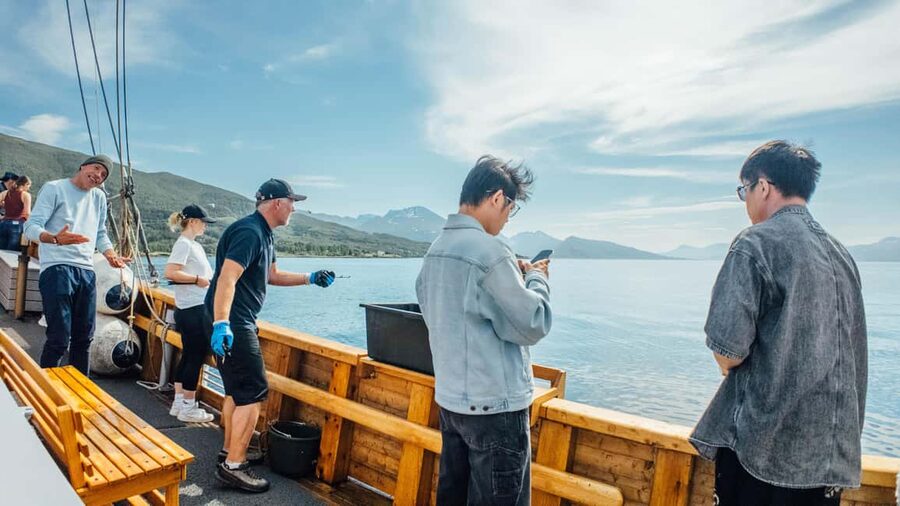 Tromsø: Fjord Fishing Cruise - Should you book the Fjord Fishing Cruise on Hermes II?