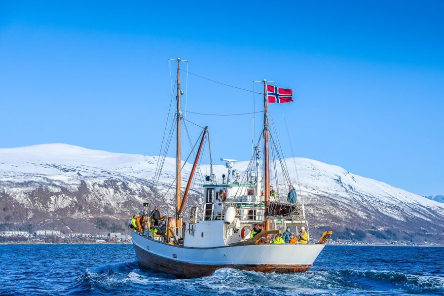 Tromsø: Fjord History Cruise with Snack and Drinks - Wildlife Spotting: How Eagles, Seals, and Reindeer Fit In