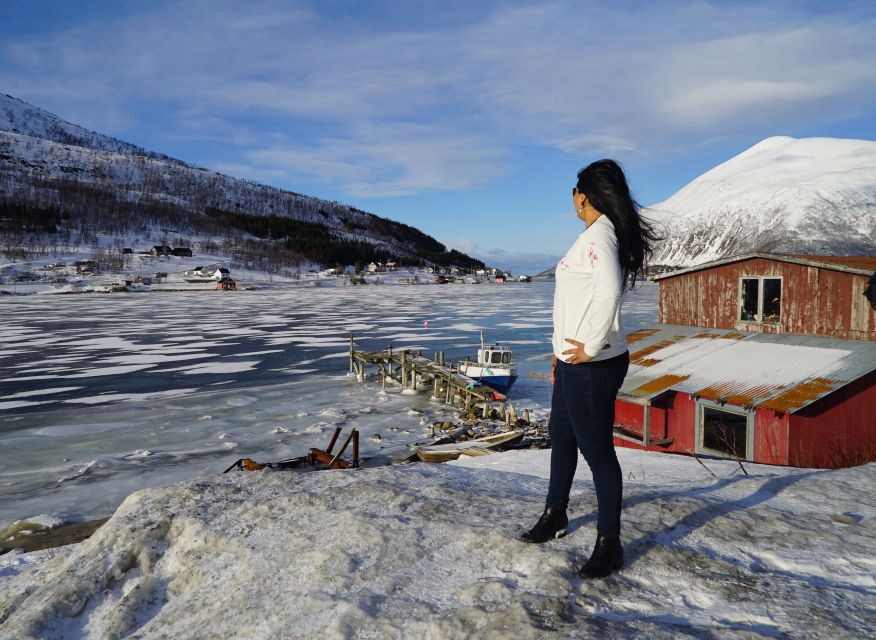 Tromsø: Fjord Sightseeing in a Tesla X Luxury Electric Car - Mountain Drives and the Human Story Behind the Scenery