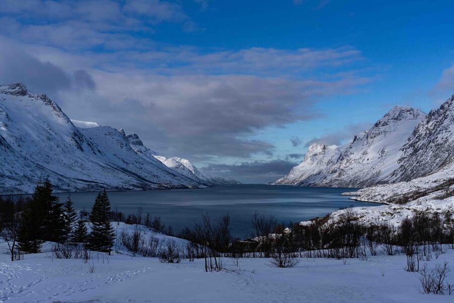 Tromsø: Fjords & Beaches Tour with campfire and Arctic food - The meeting point: start at Radisson Blu and keep the day simple