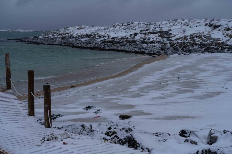 Tromsø: Fjords & Beaches Tour with campfire and Arctic food - Campfire and Arctic food: what warm means here, and what to expect from the menu