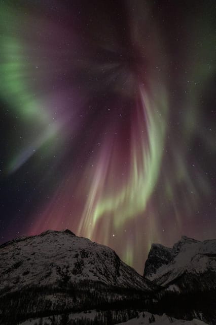 Tromsø: Fjords & Beaches Tour with campfire and Arctic food - The guide experience: small group, big effort, and a focus on weather-aware timing
