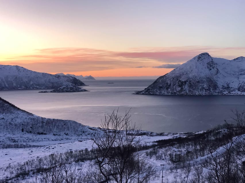Tromsø: Fjords & Beaches Tour with campfire and Arctic food - Price and value: is $310.85 per person actually a fair deal?