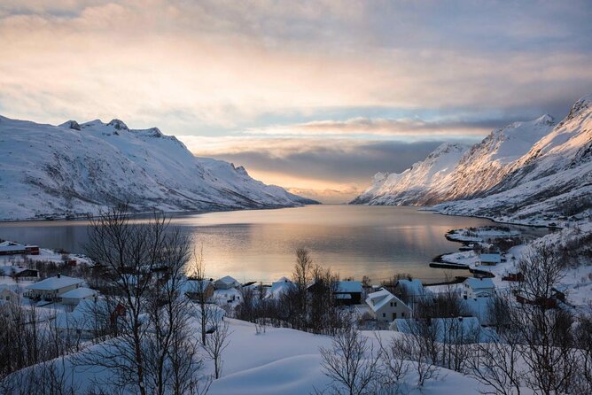 Tromso fjords road trip with fire in grill cabin by the beach. - Key things to know before you go