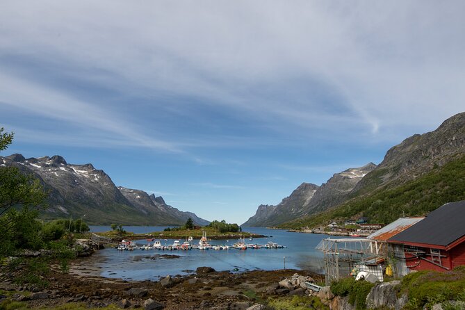 Tromso fjords road trip with fire in grill cabin by the beach. - Price and value: what $137.07 buys you in practice
