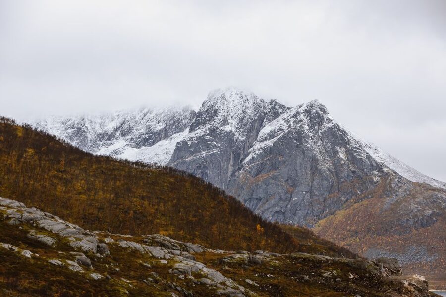 Tromso: Guided Fjord Expedition in Kvaløya with Light Lunch - Sommarøy visit: where the coastal scenery turns personal
