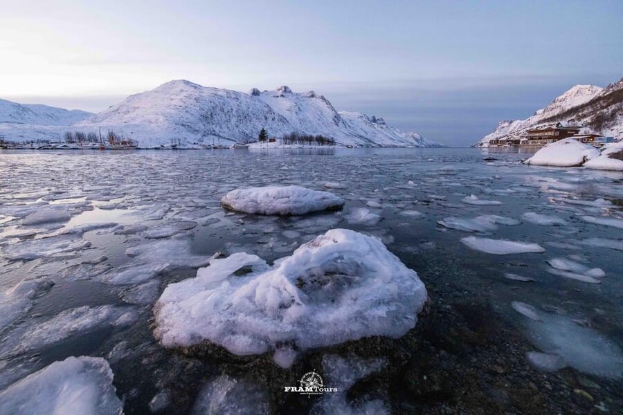 Tromso: Guided Fjord Expedition in Kvaløya with Light Lunch - Meeting at FRAMTours, and how the small-group van changes the day