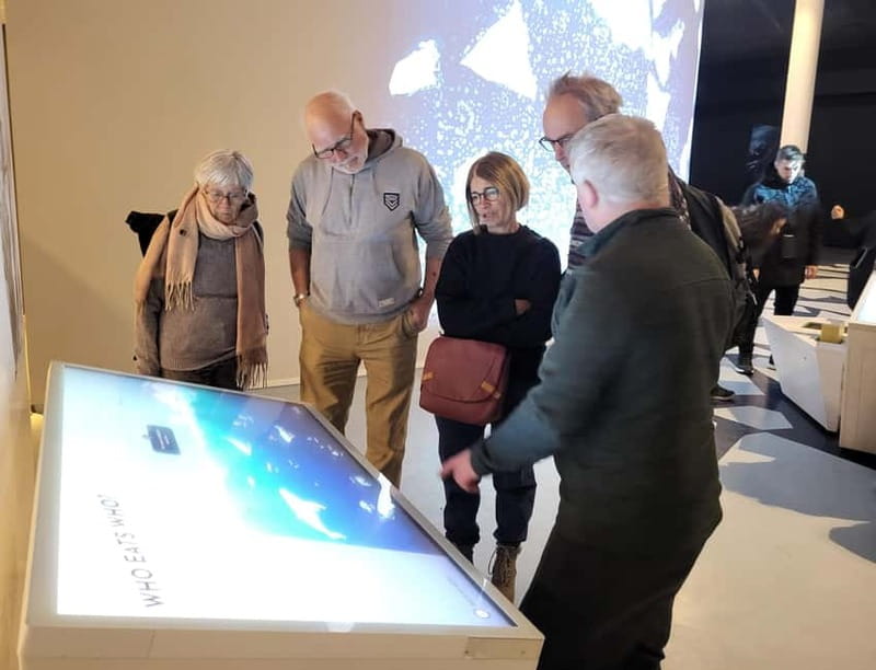 Tromsø: Guided Polar Bear Walk incl. Polaria & Polar Museum - The $93 value: two Arctic attractions plus guided city time