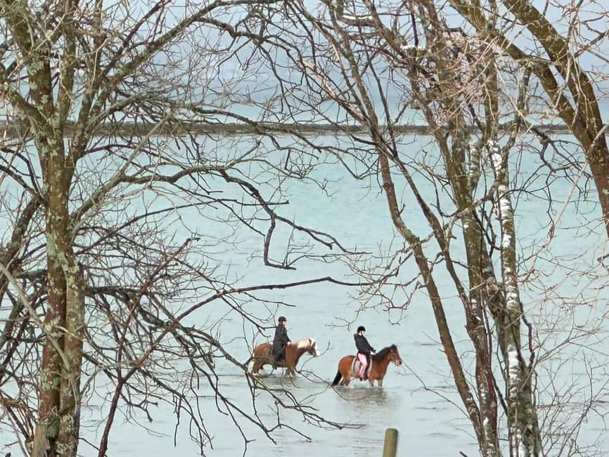 Tromsø: Horseback Riding Tour - Key highlights to look forward to
