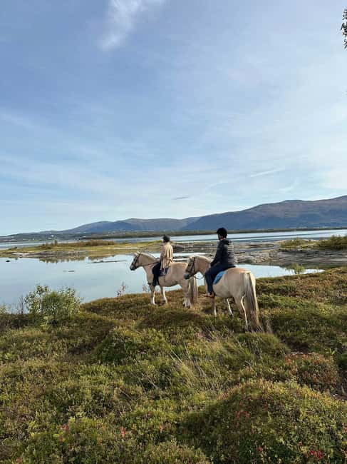 Tromsø: Horseback Riding Tour - Why Kvaløya horse riding feels special from Tromsø