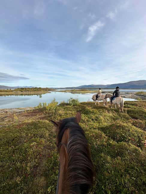 Tromsø: Horseback Riding Tour - From the farm to the tide, how the route changes