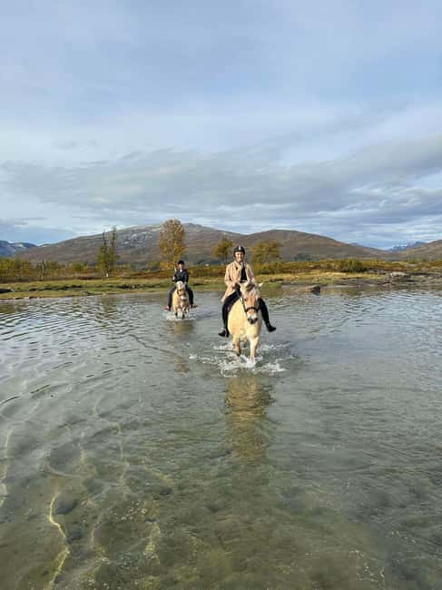 Tromsø: Horseback Riding Tour - The ride itself: 60 to 75 minutes of real horse time