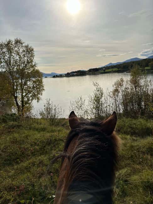 Tromsø: Horseback Riding Tour - Gear and rider tips that keep the day comfortable