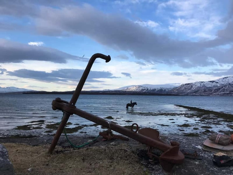 Tromsø: Horseback Riding Tour - Getting to Marisletta gård, and finding the biggest red barn