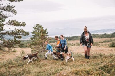 Husky Hike and Puppy Visit with Traditional Lunch