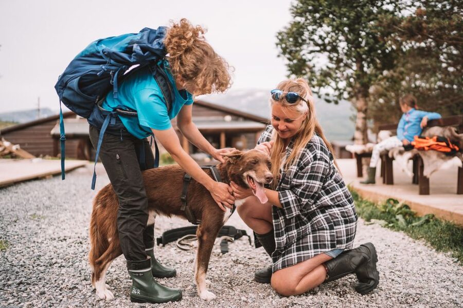 Tromsø: Husky Hike and Puppy Visit with Traditional Lunch - Guides Make the Difference: Names You Might Hear and Why It Matters