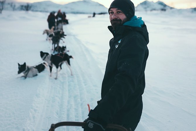 Tromso Husky Self-Drive Sledding with Cake and Drink in Lavvu - The 70 to 80 minutes of Arctic sledding: pace, hills, and scenery time