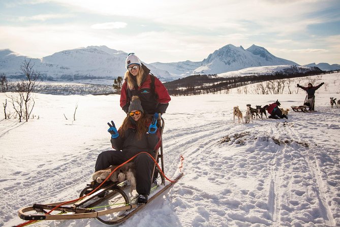 Tromso Husky Self-Drive Sledding with Cake and Drink in Lavvu - Gear-up at the right time, thermal suits change everything