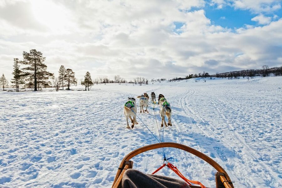 Tromsø: Husky Sled Self-Drive with Traditional Lunch - Safety, Weather, and Realistic Expectations