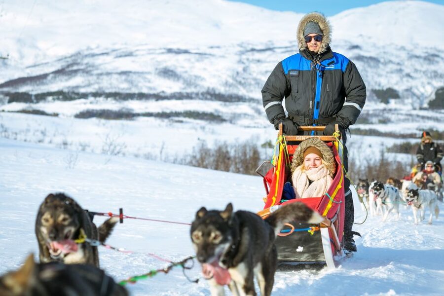 Tromsø: Husky Sled Self-Drive with Traditional Lunch - Bidos by the Open Fire: Lunch in a Gamme-Hut