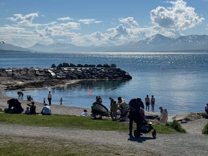 Tromsø: Island Tour & Cable Car with Tromsø Accessible Tours - How the 4-hour loop flows, without feeling rushed