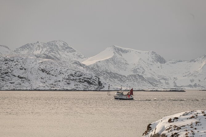 Tromsø: Kvaløya & Sommarøy Guided Fjord Tour with Lunch - Sommarøy stop: hikes, viewpoints, and the Arctic’s wildlife window