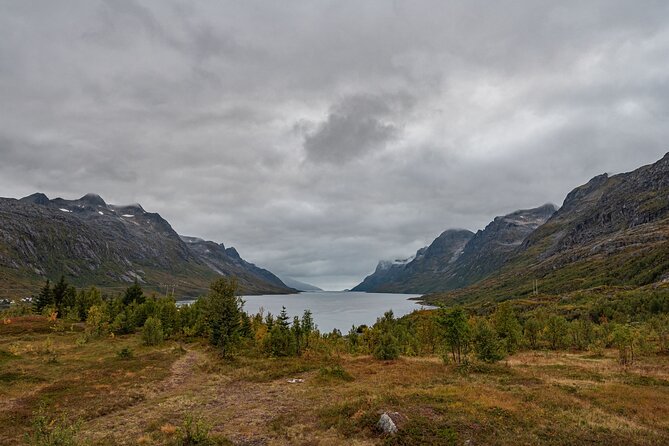 Tromsø: Kvaløya & Sommarøy Guided Fjord Tour with Lunch - Price and value: $181.50 for a 5.5 hour small-group day