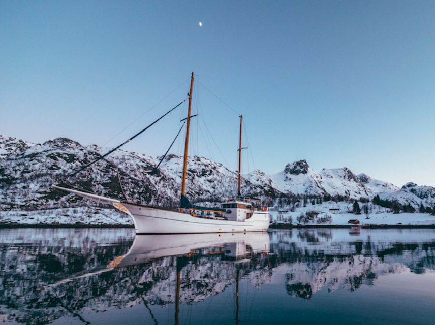 Tromso: Luxury Northern Lights Cruise with Hot Tub & Dinner - A few smart tips to make your night smoother