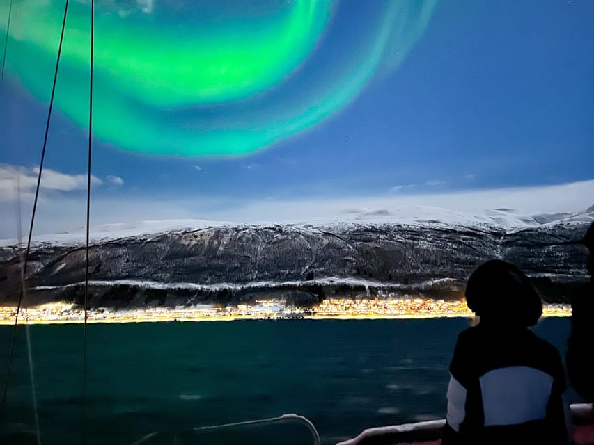 Tromso: Luxury Northern Lights Cruise with Hot Tub & Dinner - What you eat and drink: reindeer stew, plus comfort extras