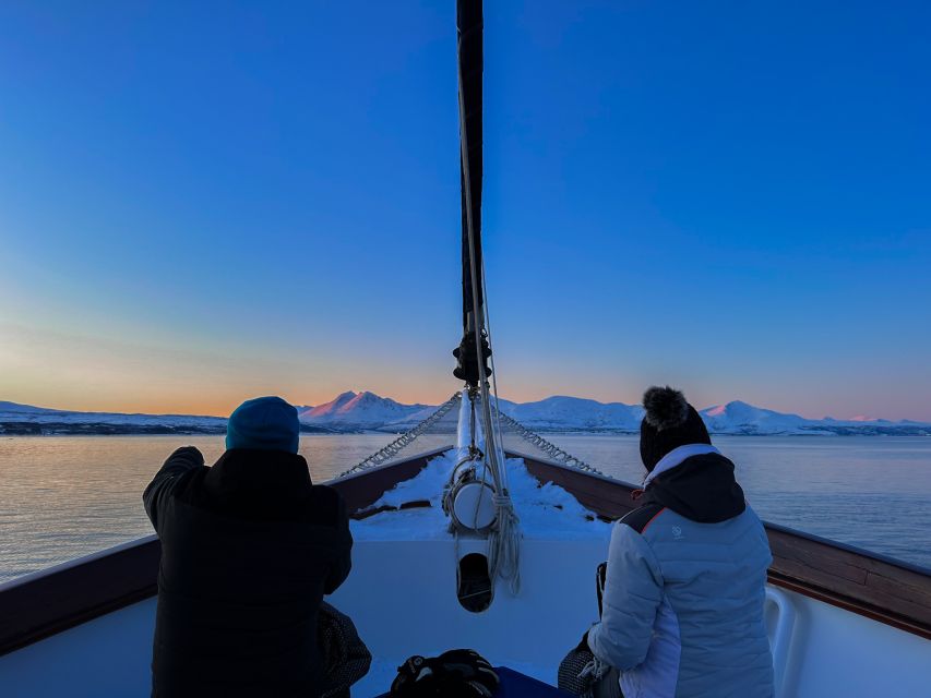 Tromsø: Luxury Polar Fjord Cruise w/ Hot Tub & Polar Plunge - Step Aboard Stella Oceana, a 33-Meter Arctic Sailing Ship