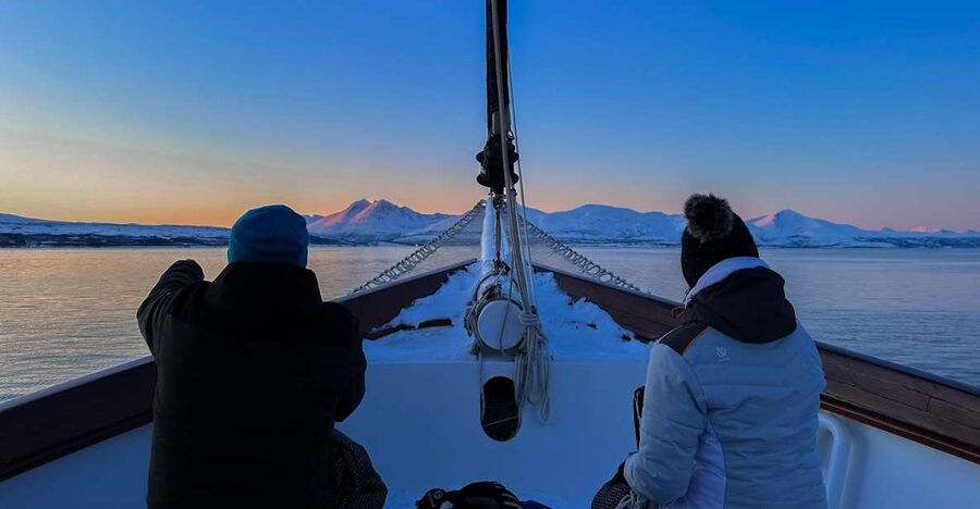 Tromsø: Luxury Polar Fjord Cruise w/ Hot Tub & Polar Plunge - The Real Star: Captain Kenneth’s Flexible Route in Balsfjorden