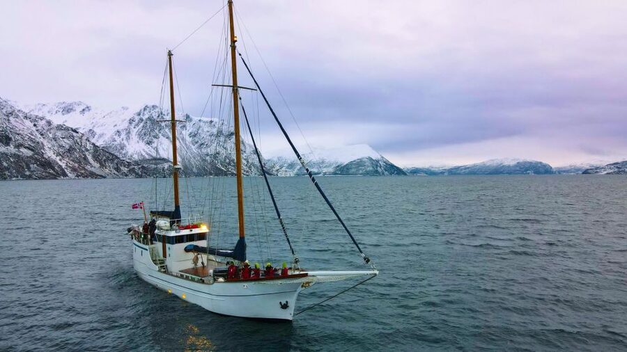 Tromsø: Luxury Polar Fjord Cruise w/ Hot Tub & Polar Plunge - Heated Saloon Comfort Plus Deck Time That Doesn’t Feel Punishing