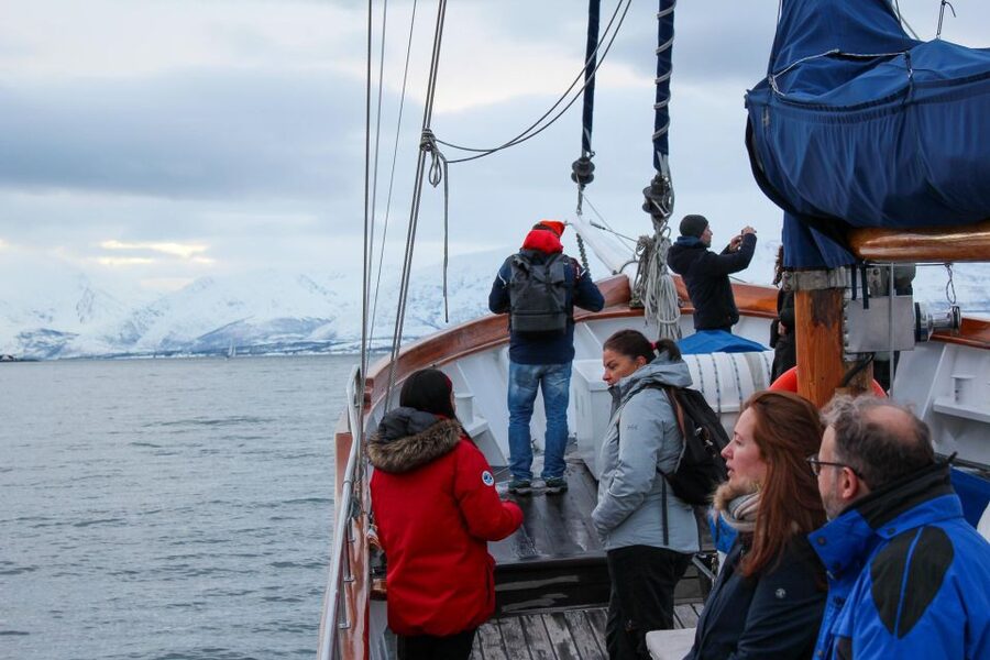 Tromsø: Luxury Polar Fjord Cruise w/ Hot Tub & Polar Plunge - Price and Value: What $281 Buys You in Tromsø