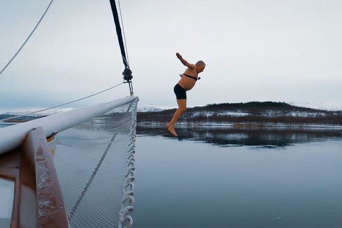 Tromso Luxury Sailing Yacht Polar Fjord Cruise with Lunch - Lunch on Board: Reindeer Soup, Bread, and the Warm Reset Mid-Cruise