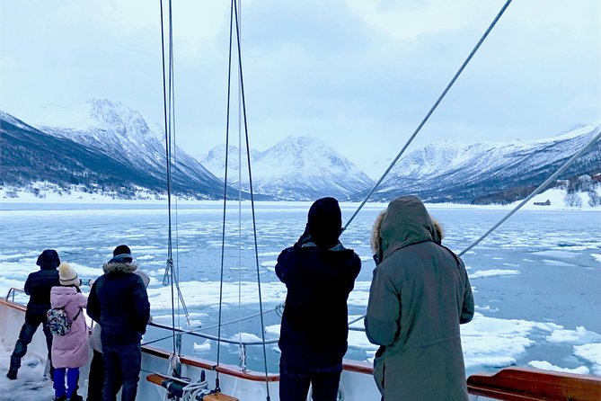 Tromso Luxury Sailing Yacht Polar Fjord Cruise with Lunch - Winter Tromsø Reality Check: Weather, Daylight, and Why Good Planning Matters