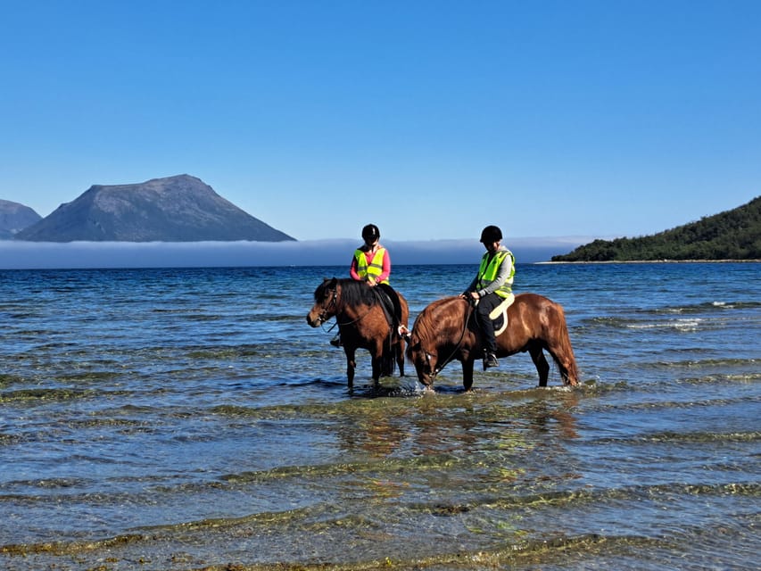 Tromsø: Lyngen Horse Summer Riding Experience - Arriving at Tromsø Lyngshest, Meeting the Herd, and Getting Your Horse