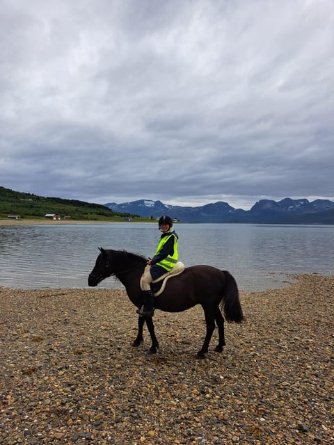 Tromsø: Lyngen Horse Summer Riding Experience - What the 60 Minutes on Horseback Looks Like Along Grøtfjord