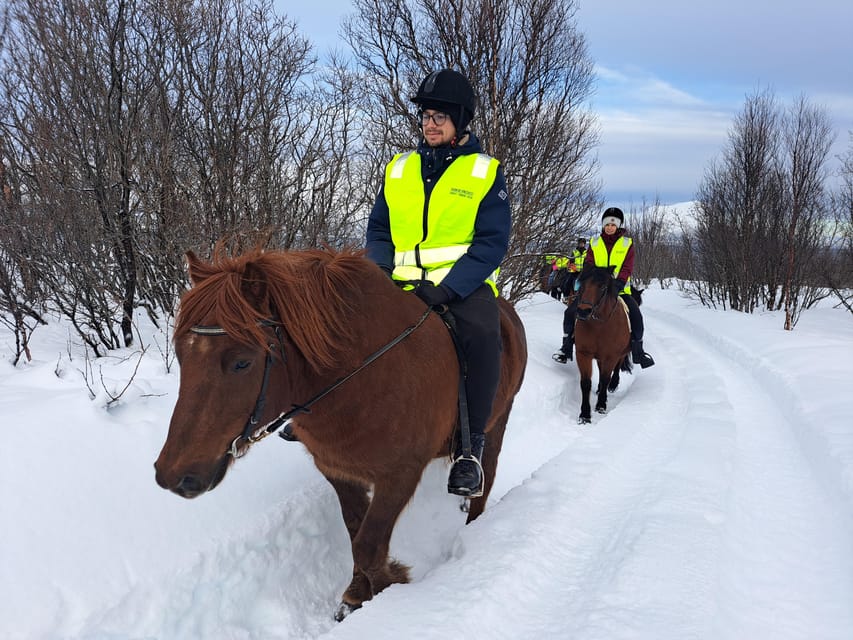 Tromsø: Lyngen Horse Winter Riding Experience - 60 minutes in arctic air with Grøtfjord and Lyngen Alps views