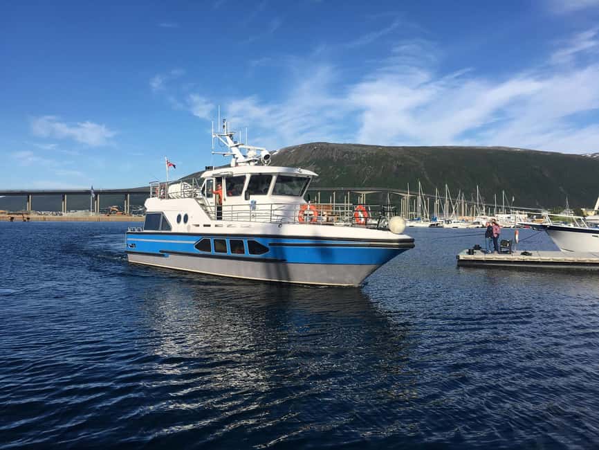 Tromsø: Midnight Sightseeing Cruise All-Inclusive - Quick highlights you should know