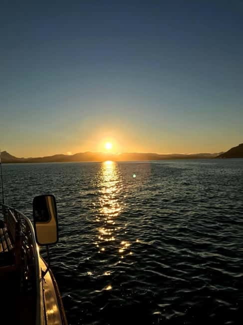 Tromsø: Midnight Sightseeing Cruise All-Inclusive - A 8:00 pm midnight sun cruise around Tromsø fjords