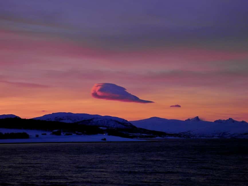 Tromsø: Midnight Sightseeing Cruise All-inclusive - Who This Cruise Fits Best