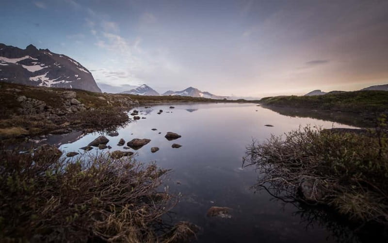 Tromsø: Midnight Sun Hike in the wilderness - The easy hike up a small mountain: pace, footing, and what you’ll notice