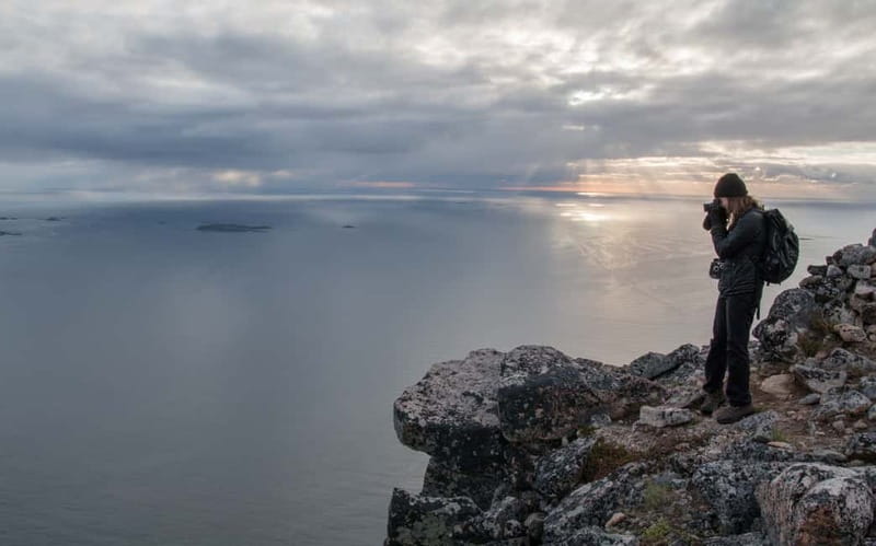 Tromsø: Midnight Sun Hike in the wilderness - What your English live guide adds to the wilderness experience