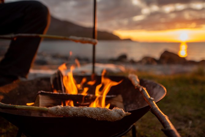 Tromsø: Midnight Sun with Campfire with Wandering Owl - The Main Event at Grotfjord: Beach Campfire Dinner and Midnight Sun Light
