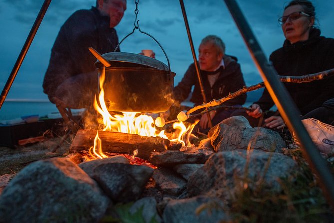 Tromsø: Midnight Sun with Campfire with Wandering Owl - Price and Value: Is About $150 Worth It?