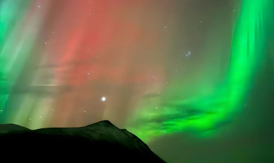 Tromsø: Northern Lights Adventure by Bus or Minibus - Warm breaks: cookies, tea or coffee, and the campfire bonus