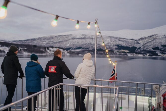 Tromsø, Northern Lights and Wilderness Evening Catamaran Cruise - Who This Cruise Fits Best (And When You Might Compare Options)