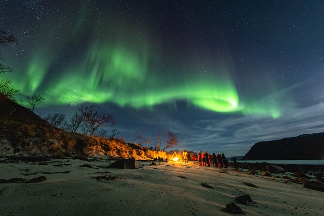 Tromsø: Northern Lights by Minibus - Free Photos and Warm Dinner - Key Points I’d Bet On