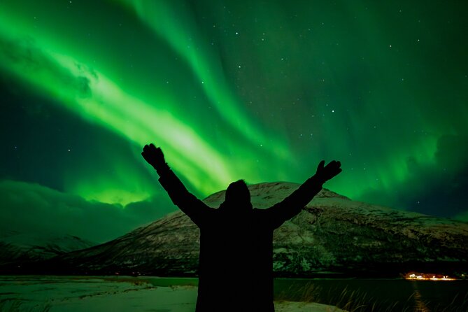 Tromsø: Northern Lights by Minibus - Free Photos and Warm Dinner - Price and Value: What You’re Really Paying For